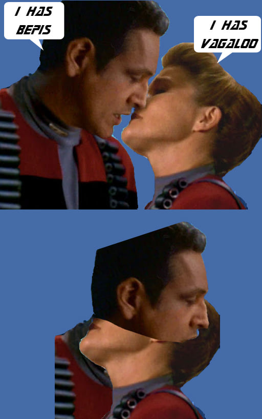 This meme is a play on the famous "I do" scene from the movie Star Trek: The Wrath of Khan. The image shows two characters, Captain Kirk and Mr. Spock, embracing and kissing. The text "I have" is spoken by Mr. Spock, and then the text "I do" is spoken by Captain Kirk, but the meme replaces "do" with "have" to create a pun on the phrase "I have" and "I do".